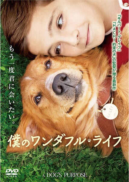 僕のワンダフル・ライフ のジャケット写真