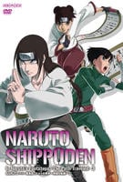 ナルト疾風伝　ナルトの背中　仲間の軌跡 DVDBOX5巻セット 仲間の背中 忍者 ナルト疾風伝 ナルトの背中 仲間の軌跡 DVDBOX5