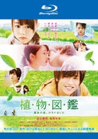 Blu-ray「植物図鑑 運命の恋、ひろいました」作品詳細 - GEO Online