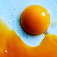 あにゅー　　パッケージ