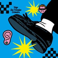 ［ＳＫＡ］　ＳＨＯＷＤＯＷＮ　　パッケージ