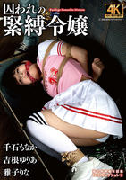 囚われの緊縛令嬢　ＤＩＤコレクション２　DVD　パッケージ