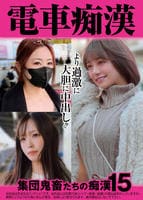 電車痴漢　集団鬼畜たちの痴漢　１５　　DVD　パッケージ