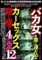 バカ女を車に連れ込みカーセックス隠し撮り　４時間　２　１２人　　DVD　パッケージ