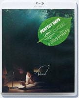 ＰＥＲＦＥＣＴ　ＤＡＹＳ