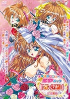 モザイクリニューアル「哀・奴隷」全４話収録　　DVD　パッケージ