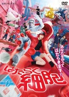 はたらく細胞　（実写）　DVD　パッケージ