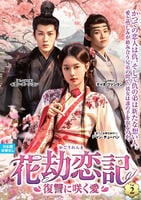 花劫恋記～復讐に咲く愛～　ＶＯＬ２　　DVD　パッケージ