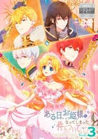 ある日、お姫様になってしまった件について　第３巻　　DVD　パッケージ