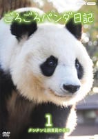 ごろごろパンダ日記　１　タンタンと飼育員の日々　　DVD　パッケージ