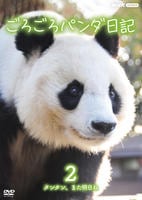 ごろごろパンダ日記　２　タンタン、また明日ね　　DVD　パッケージ