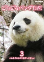 ごろごろパンダ日記　３　かわらずのんびり過ごしてほしい　　DVD　パッケージ