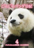ごろごろパンダ日記　４　タンタンと二人の飼育員　ときどき獣医師　　DVD　パッケージ