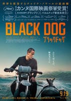 ブラックドッグ　　DVD　パッケージ