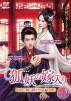 狐妖の嫁入り～宮廷に舞い降りた、宿縁の愛～　Ｖｏｌ．３　　DVD　パッケージ
