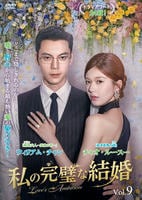 私の完璧な結婚　Ｖｏｌ．９　　DVD　パッケージ