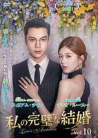 私の完璧な結婚　Ｖｏｌ．１０　　DVD　パッケージ