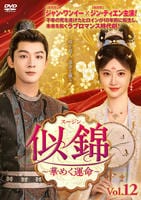 似錦（スージン）～華めく運命～　Ｖｏｌ．１２　　DVD　パッケージ