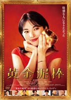 黄金泥棒　　DVD　パッケージ