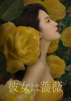 彼女は薔薇　Ｖｏｌ．１３　　DVD　パッケージ