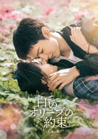 白いオリーブの約束～明日もきっと、君の隣で～　Ｖｏｌ．６　　DVD　パッケージ