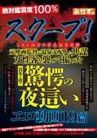 スクープ！とある地方の有名温泉旅館　元映画監督が温泉支配人と共謀　女性客を襲って撮った真冬の夜の驚愕の夜這いエロ動画１９篇　　DVD　パッケージ