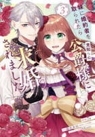 妹に婚約者を取られたら見知らぬ公爵様に求婚されました　３　　パッケージ
