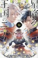 星降る王国のニナ　１６　コミック　パッケージ
