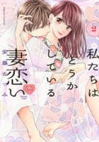 私たちはどうかしている　妻恋い　２　コミック　パッケージ