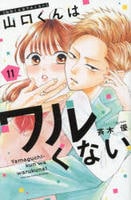 山口くんはワルくない　１１　コミック　パッケージ