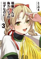 稲穂くんは偽カノジョのはずなのに　３　　パッケージ