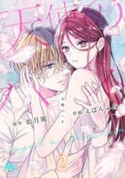 天使のハネ　２　　パッケージ