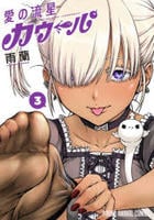 愛の流星カウーパ　３　　パッケージ