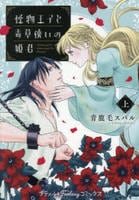 怪物王子と毒草使いの姫君　上　　パッケージ