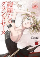 絢爛たるグランドセーヌ　２９　　パッケージ