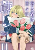 去る者は日々に疎し　１１　　パッケージ