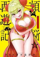 煩悩☆西遊記　１３　　パッケージ