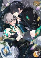 盗賊と王子　　パッケージ