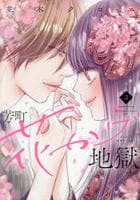 芳町花かげ地獄　３　　パッケージ