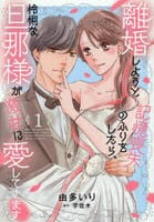 離婚しようと記憶喪失のふりをしたら、怜悧な旦那様が激甘に愛してきます　１　　パッケージ