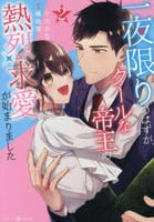 一夜限りのはずが、クールな帝王の熱烈求愛が始まりました　２　　パッケージ