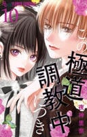 この極道調教中につき　１０　　パッケージ