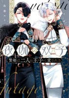 夜伽の双子―贄姫は二人の王子に愛される―　１１　　パッケージ