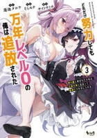 どれだけ努力しても万年レベル０の俺は追放された～神の敵と呼ばれた少年は、社畜女神と出会って最強の力を手に入れる～　３　　パッケージ