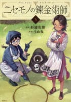 ニセモノの錬金術師　５　　パッケージ