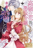 高嶺の花扱いされる悪役令嬢ですが、本音はめちゃくちゃ恋したい　１　　パッケージ