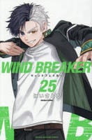 ＷＩＮＤ　ＢＲＥＡＫＥＲ　２５　　パッケージ
