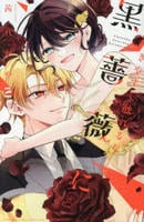 きやすく触れるな黒薔薇に　２　　パッケージ