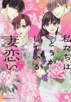 私たちはどうかしている　妻恋い　４　　パッケージ