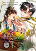 聖女のはずが、どうやら乗っ取られました　１２　　パッケージ